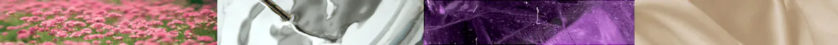Image posted by the member