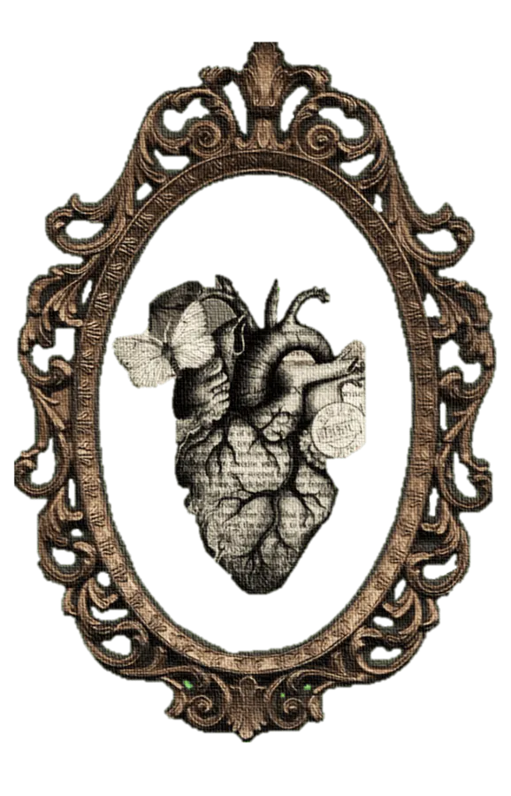 Image posted by the member