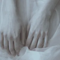 Image posted by the member
