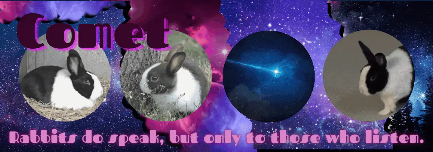 Image posted by the member