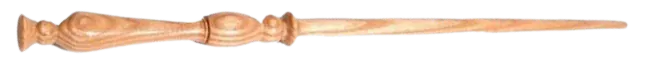 Image posted by the member