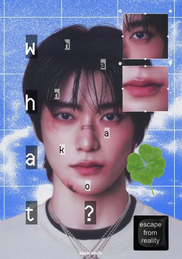 Image posted by the member