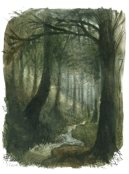Image posted by the member