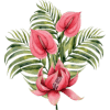 Image posted by the member