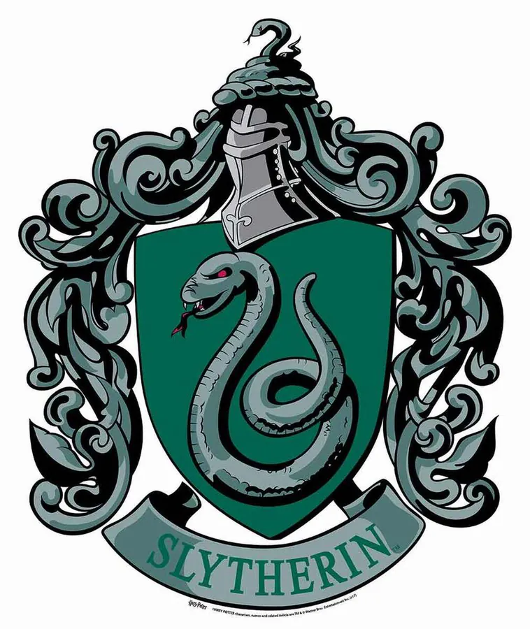 Image posted by the member
