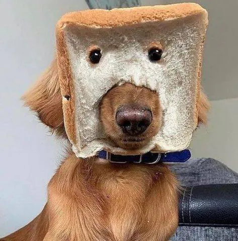 Image posted by the member