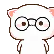 Image posted by the member