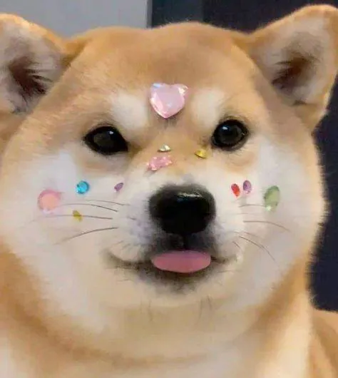 Image posted by the member