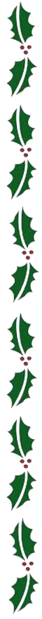 Holly border