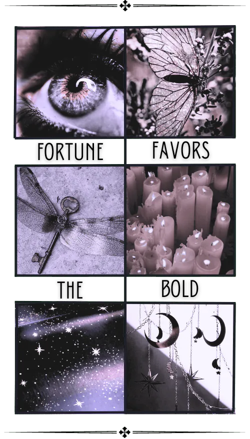 Image posted by the member