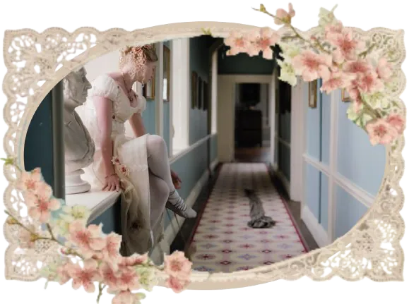 Image posted by the member