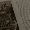 Image posted by the member