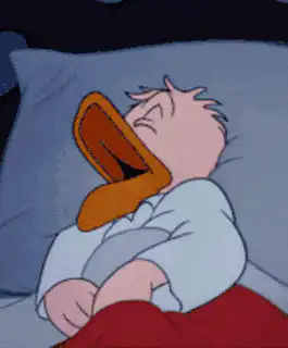 Image posted by the member
