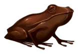 Image posted by the member