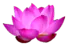 Image posted by the member