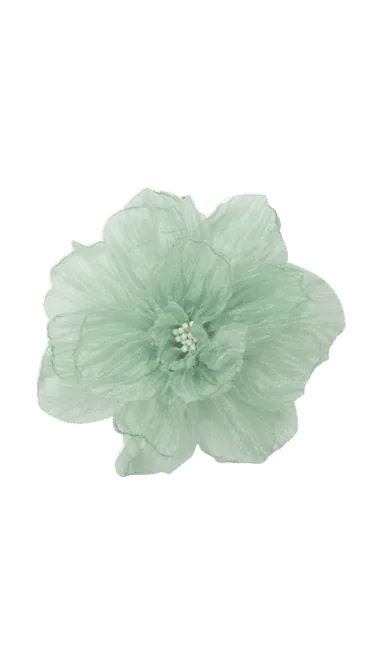 Image posted by the member