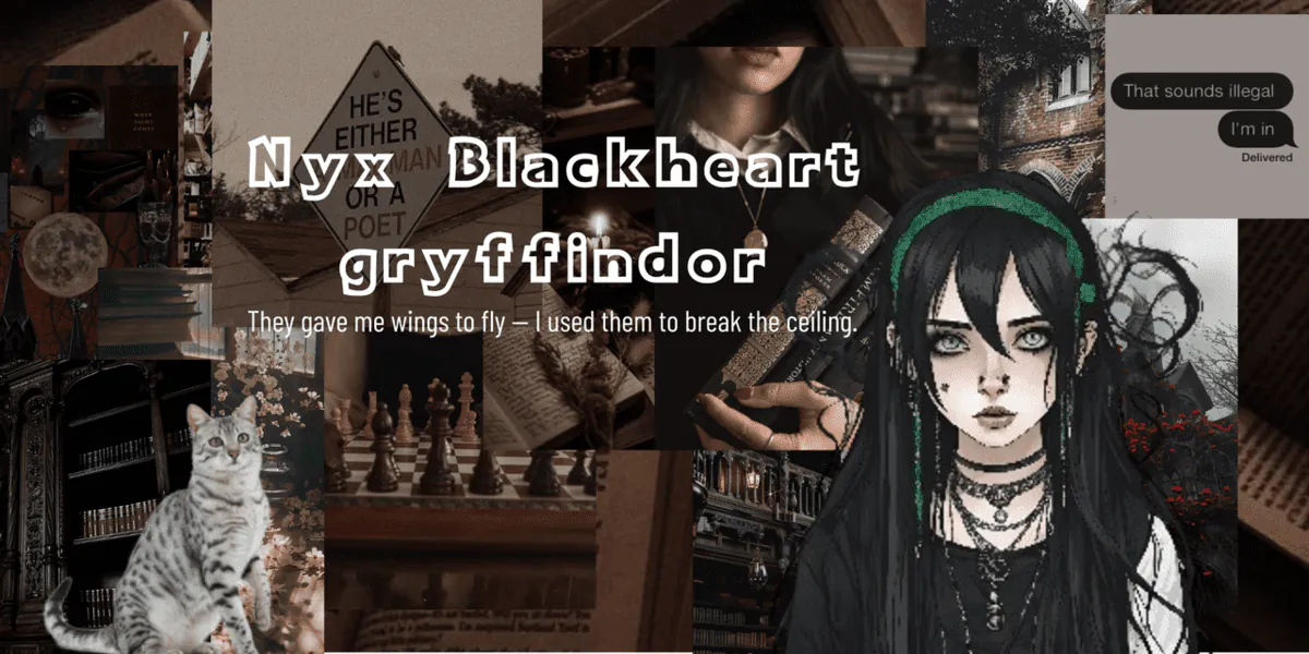 Image posted by the member
