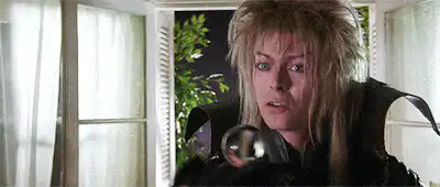 Image posted by the member