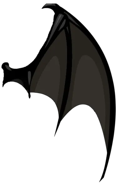 Image posted by the member