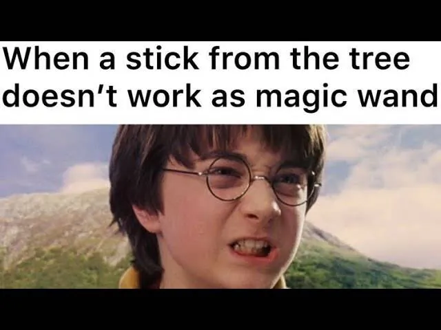 Image posted by the member