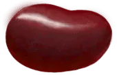 Image posted by the member
