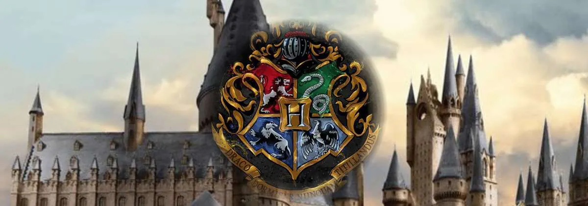 Image posted by the member