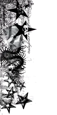 Image posted by the member
