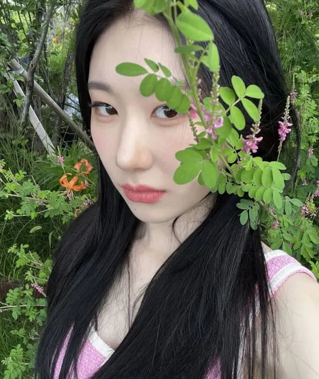 Image posted by the member