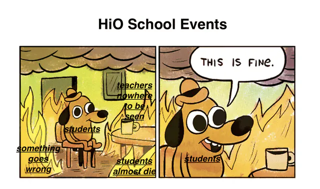 Image posted by the member
