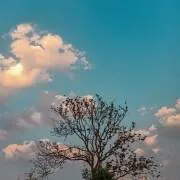 Image posted by the member