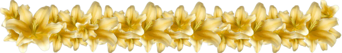 Image posted by the member