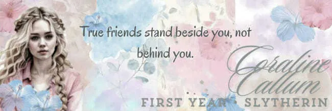 Image posted by the member