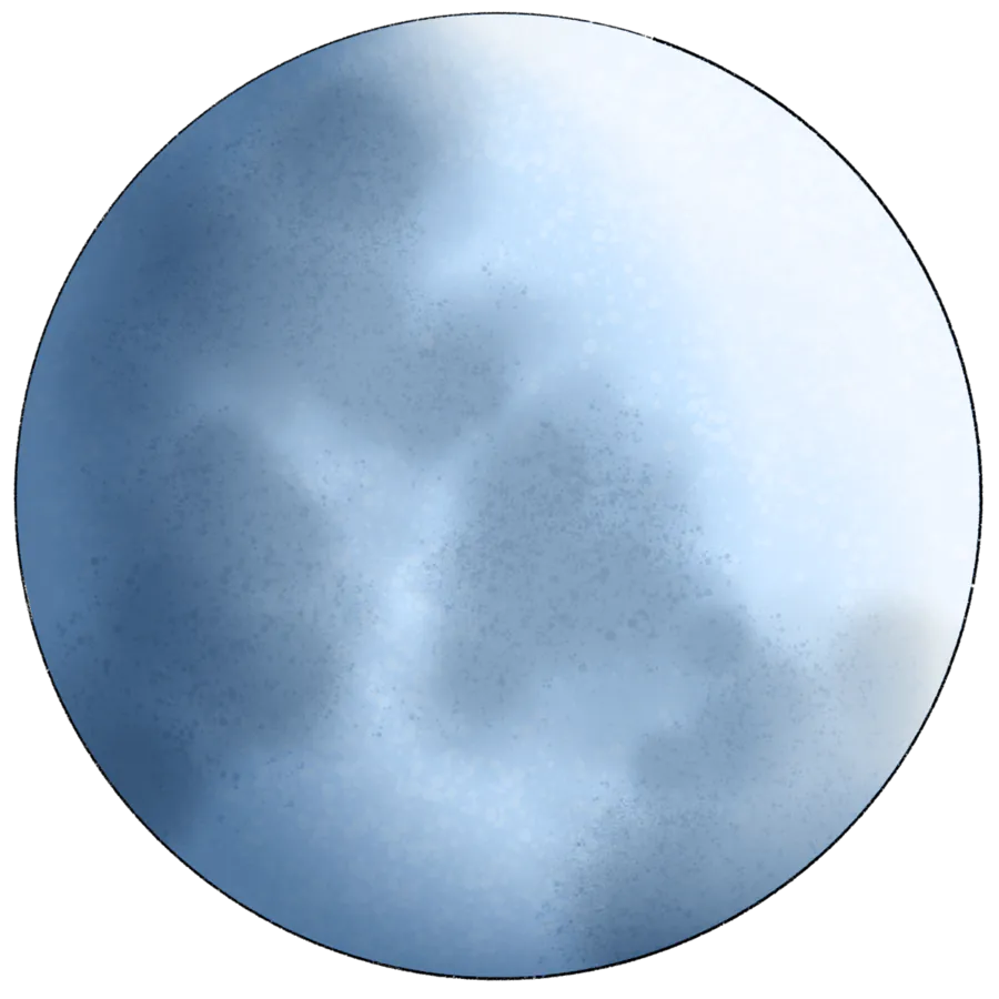 Image posted by the member