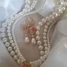 Image posted by the member