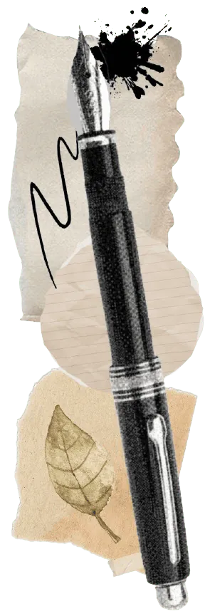 Image posted by the member