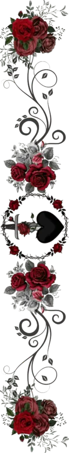 Image posted by the member