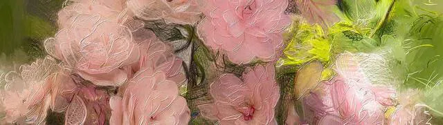 Image posted by the member