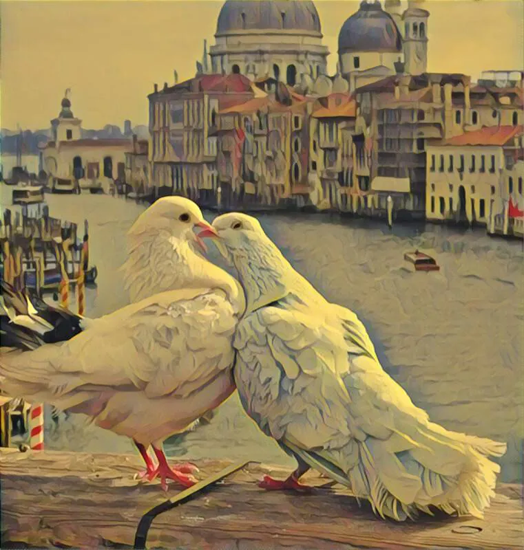 Image posted by the member