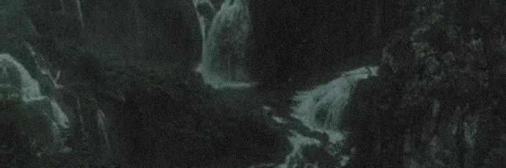 Image posted by the member