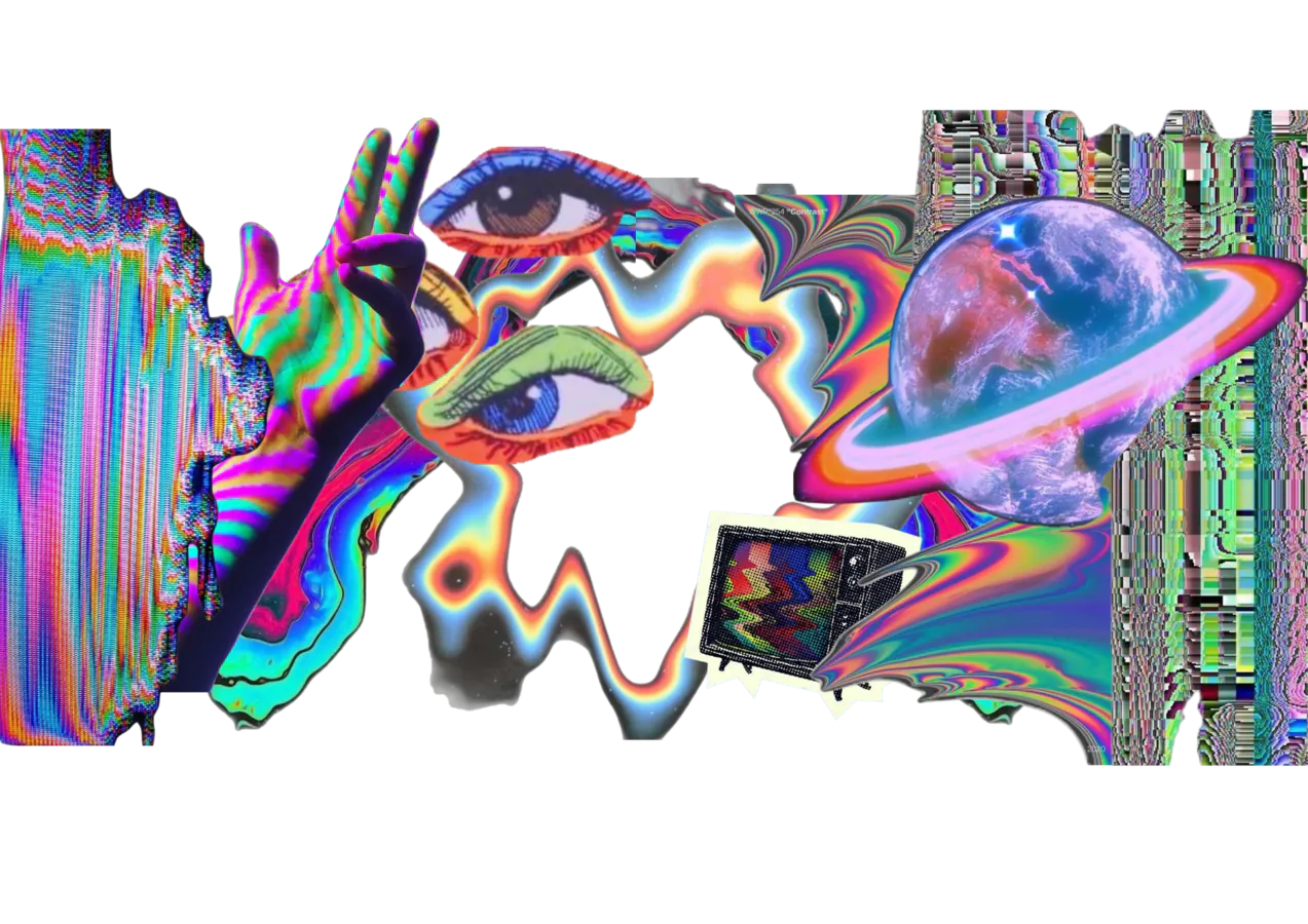 Image posted by the member