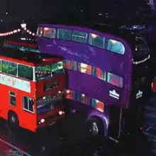 Image posted by the member