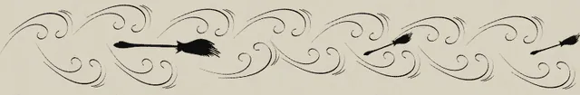Image posted by the member