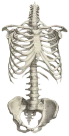 Image posted by the member
