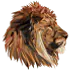 Image posted by the member