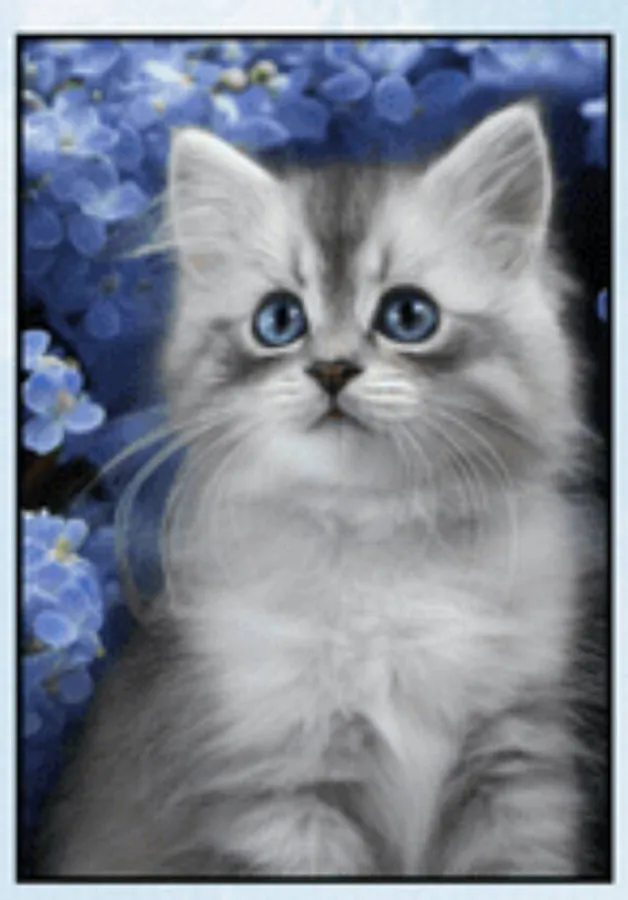 Image posted by the member