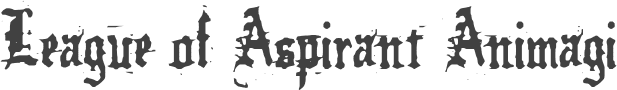 Image posted by the member