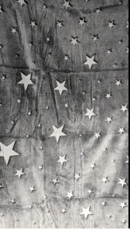 Image posted by the member
