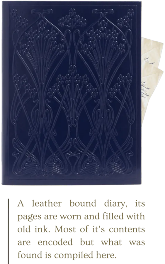 Image posted by the member