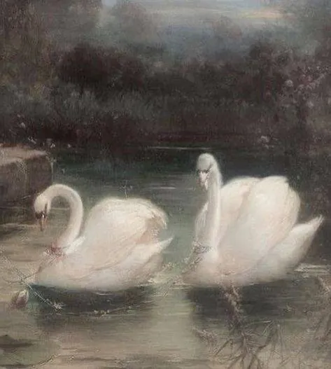 Image posted by the member