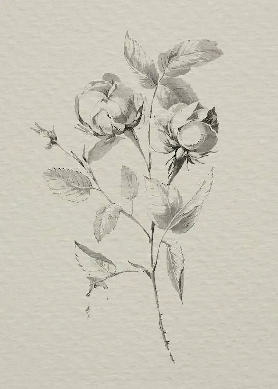 Image posted by the member